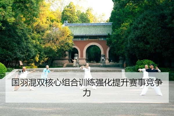 guo-yu-hun-shuang-he-xin-zu-he-xun-lian-qiang-hua-ti-sheng-sai-shi-jing-zheng-li-1-476.jpg